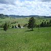 Black Hills Near Sturgis